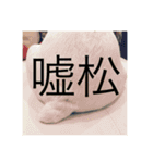 Dog talking in Japanese dialect sticker（個別スタンプ：14）