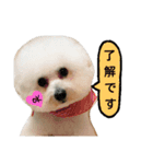 moco-sora-chibi（個別スタンプ：1）