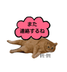 moco-sora-chibi（個別スタンプ：4）