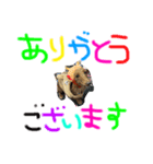 小梅スタンプ（個別スタンプ：4）