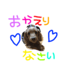 小梅スタンプ（個別スタンプ：5）