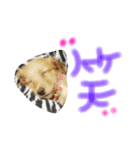 小梅スタンプ（個別スタンプ：7）