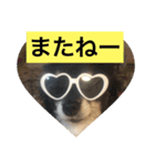 LOVE LOVE  LOVEdog（個別スタンプ：5）