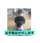 LOVE LOVE  LOVEdog（個別スタンプ：12）