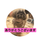 LOVE LOVE  LOVEdog（個別スタンプ：14）