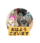 LOVE LOVE  LOVEdog（個別スタンプ：18）