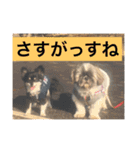 LOVE LOVE  LOVEdog（個別スタンプ：19）