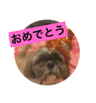 LOVE LOVE  LOVEdog（個別スタンプ：23）