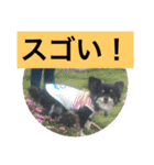 LOVE LOVE  LOVEdog（個別スタンプ：26）