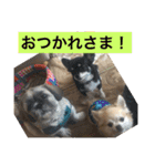 LOVE LOVE  LOVEdog（個別スタンプ：32）