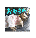 reo-hime-stanp2（個別スタンプ：3）