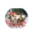reo-hime-stanp2（個別スタンプ：10）