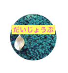 お散歩写真（個別スタンプ：19）