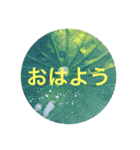 お散歩写真（個別スタンプ：27）