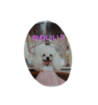 かわいいやろ（個別スタンプ：6）