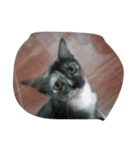 meaw mam（個別スタンプ：8）
