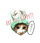 愛猫むぎちゃん（個別スタンプ：7）