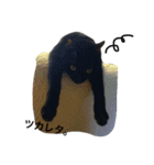 俺たちにゃんガー5★（個別スタンプ：3）