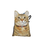 Poppu Poppiru : a curious cat（個別スタンプ：3）