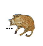 Poppu Poppiru : a curious cat（個別スタンプ：4）