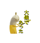バナナ侍 vs バナナ忍者【実写版】（個別スタンプ：23）