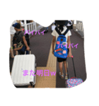 れのみ（個別スタンプ：4）