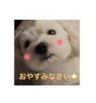 奏来＊奏志（個別スタンプ：4）