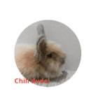Flynn Rabbit（個別スタンプ：3）