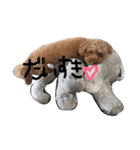 わんわん時々赤ちゃん（個別スタンプ：2）