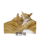 gunacat（個別スタンプ：2）
