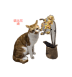 gunacat（個別スタンプ：7）