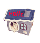シンガプーラ 猫がいる生活（個別スタンプ：3）