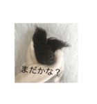 毎日うたちゃむ（個別スタンプ：2）