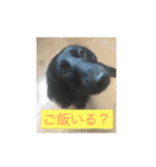 毎日うたちゃむ（個別スタンプ：4）