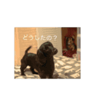 毎日うたちゃむ（個別スタンプ：5）