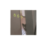 毎日うたちゃむ（個別スタンプ：6）