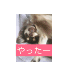 毎日うたちゃむ（個別スタンプ：8）