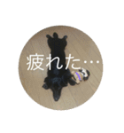 毎日うたちゃむ（個別スタンプ：10）