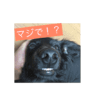 毎日うたちゃむ（個別スタンプ：12）