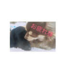 毎日うたちゃむ（個別スタンプ：13）