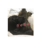 毎日うたちゃむ（個別スタンプ：14）