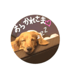 ポシェ君とうみちゃん 2（個別スタンプ：2）
