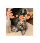 ポシェ君とうみちゃん 2（個別スタンプ：4）