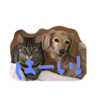 ポシェ君とうみちゃん 2（個別スタンプ：13）