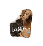 ポシェ君とうみちゃん 2（個別スタンプ：14）