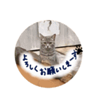 ポシェ君とうみちゃん 2（個別スタンプ：17）