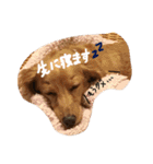 ポシェ君とうみちゃん 2（個別スタンプ：18）