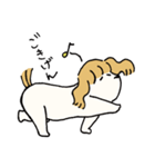 いか犬（個別スタンプ：2）
