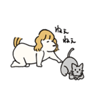 いか犬（個別スタンプ：3）