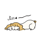 いか犬（個別スタンプ：13）